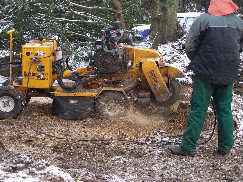 Stump Grinding in Appleton