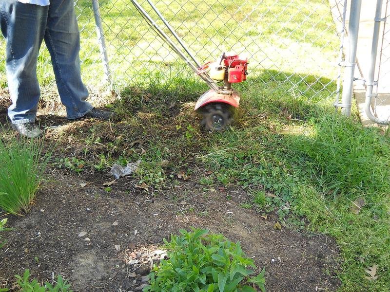 Lawn Restoration Prep in Appleton